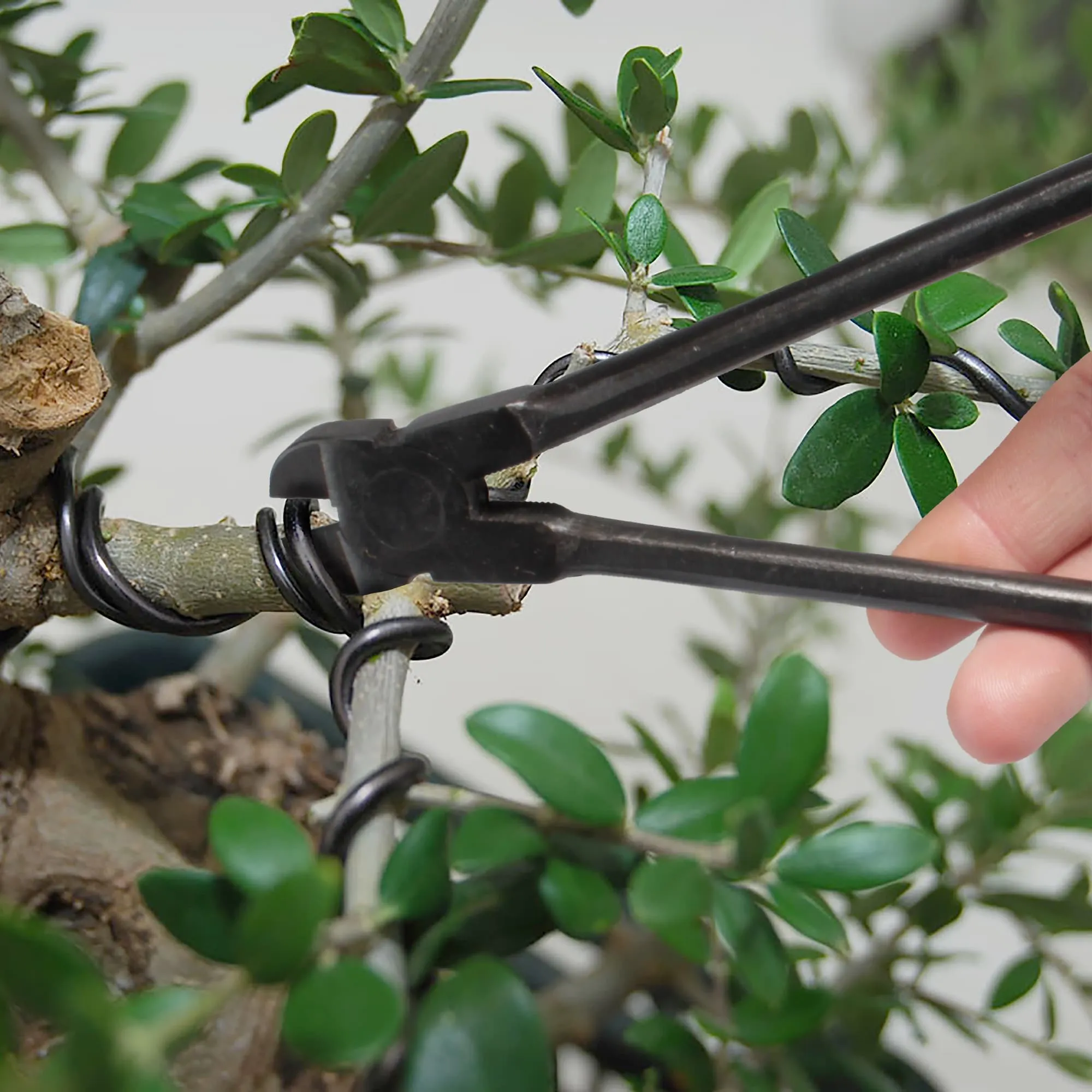 Bonsai 8" Wire Cutter