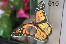 C3 Butterfly Ledge - Suction Cup