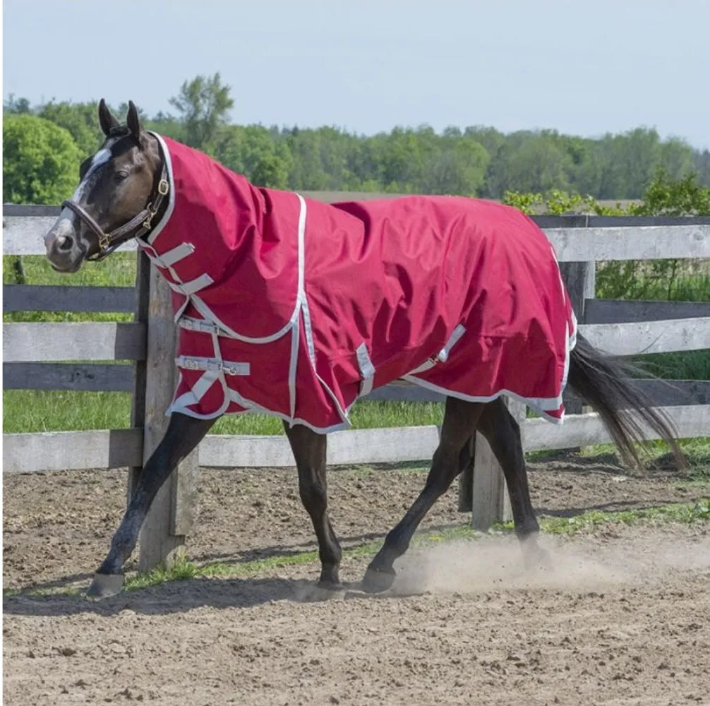 Canadian Horsewear Maxim Turnout