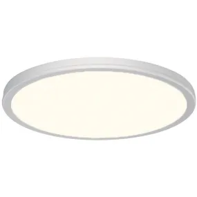 Geos 15 in. LED Disk Light 2700K Silver Finish