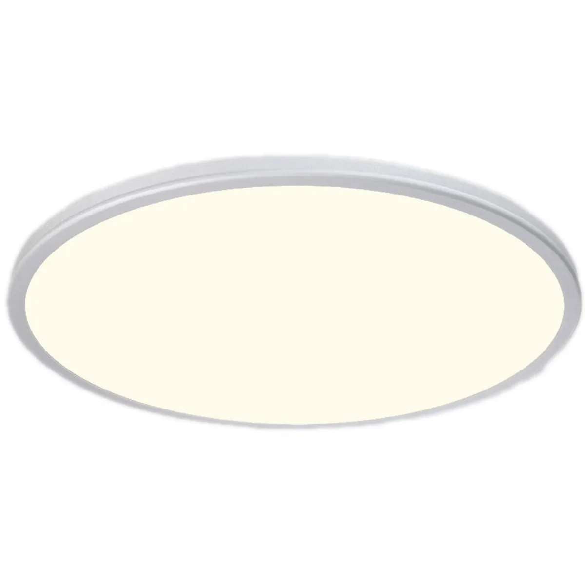 Geos 22 in. LED Disk Light 2700K Silver Finish