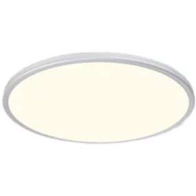 Geos 22 in. LED Disk Light 2700K Silver Finish