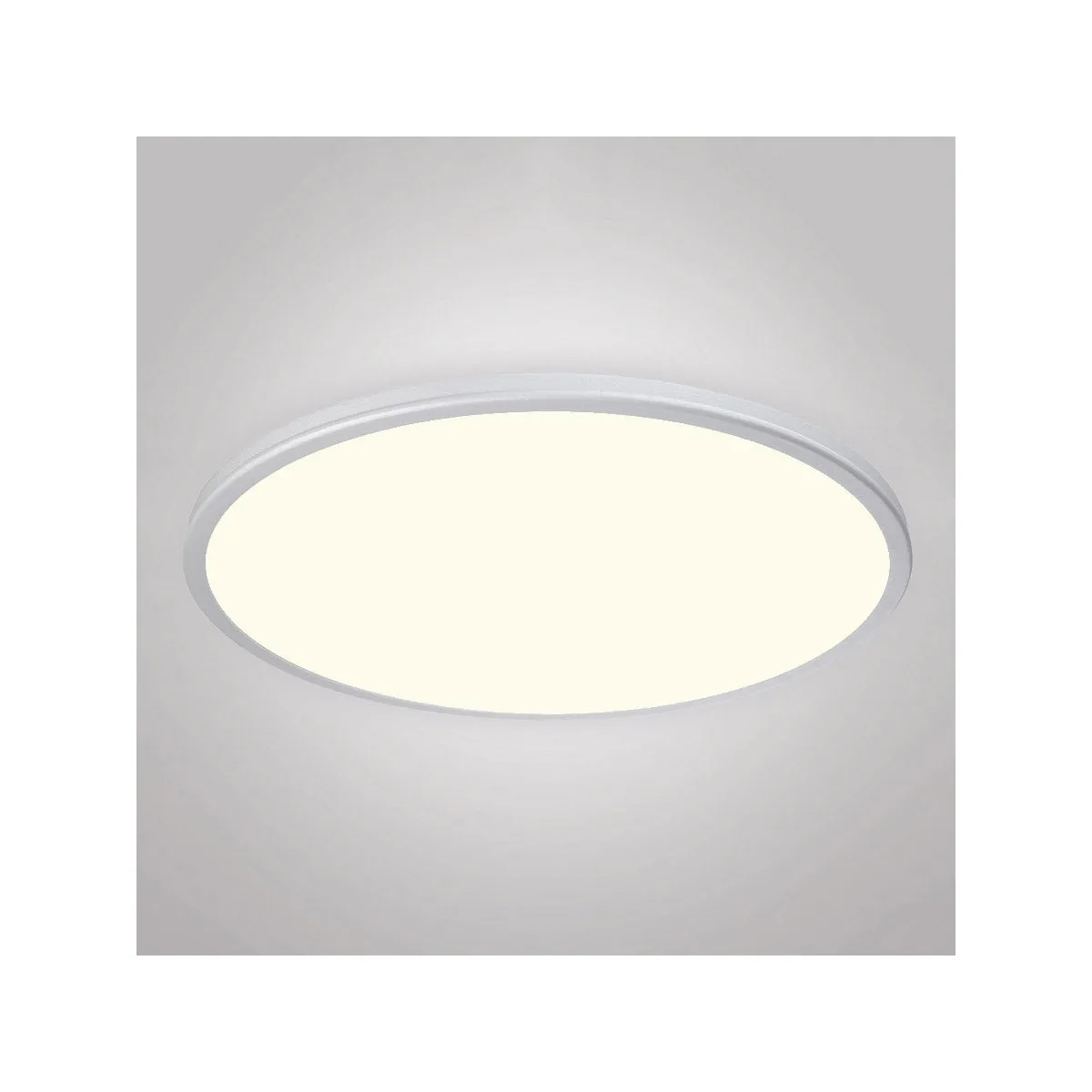 Geos 22 in. LED Disk Light 2700K Silver Finish