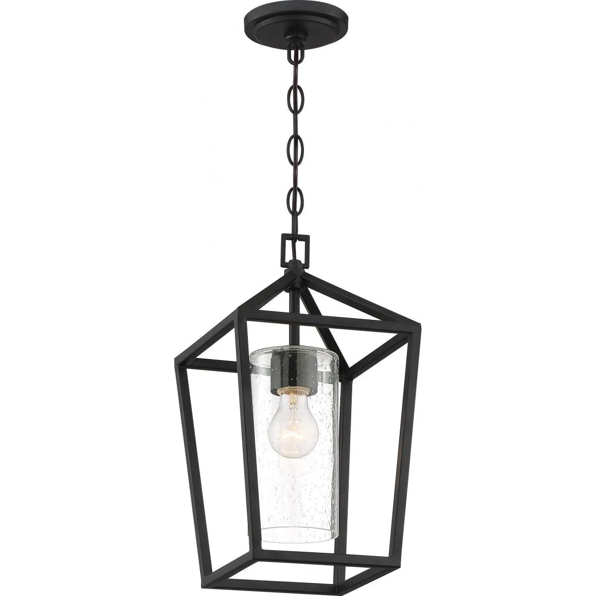 Hopewell 9 In. Outdoor Hanging Lantern Black finish