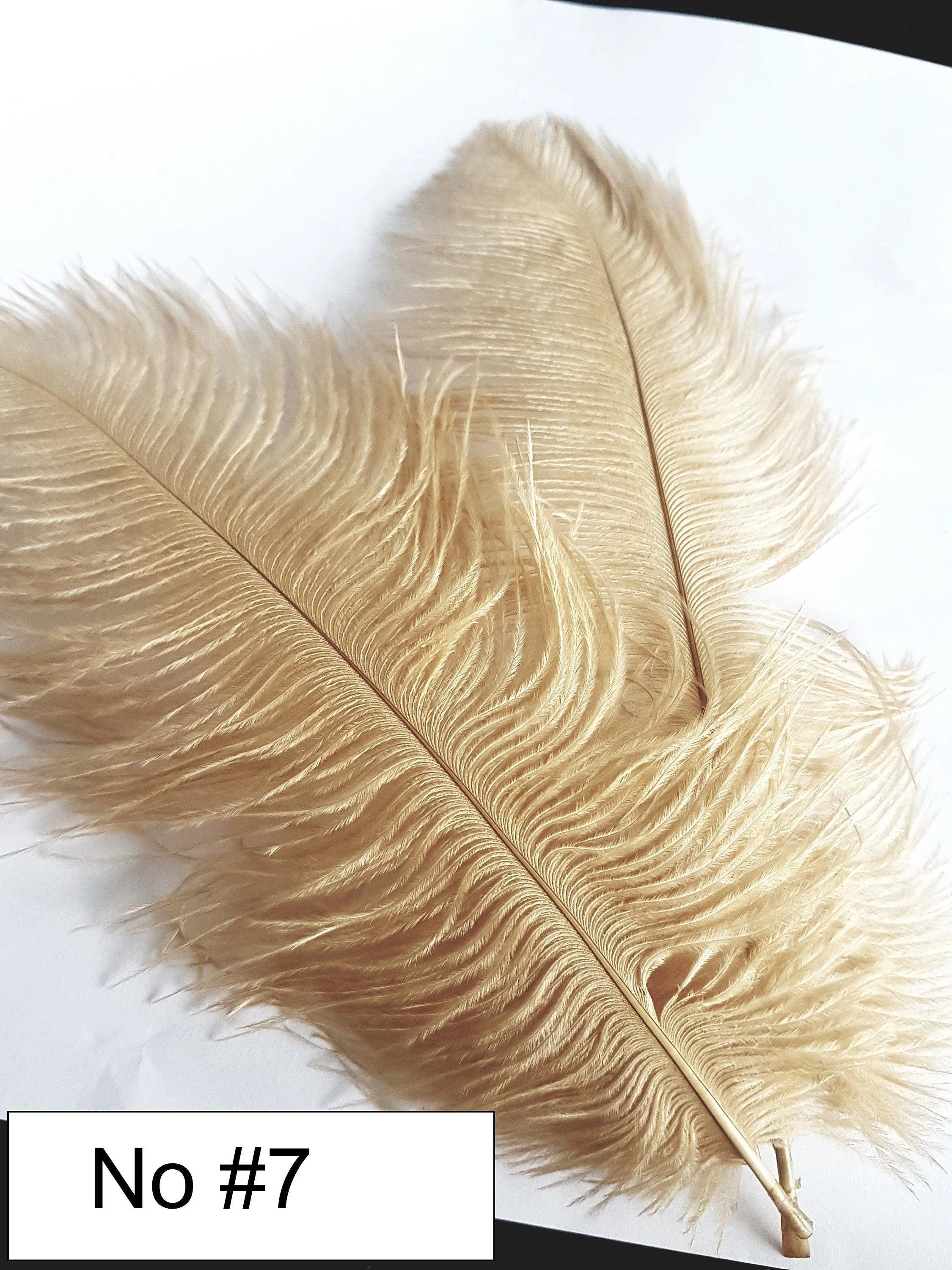 Ostrich Feather Fan bouquet with Genuine crystal detail- alternative Bouquet Great Gatsby wedding style, Artificial wedding bouquet