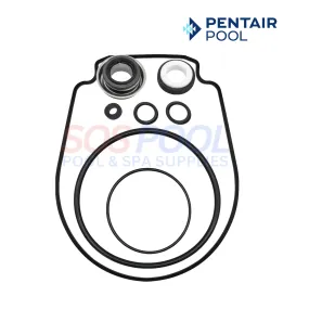 Pentair Swimming Pool Pump Seal Set Kit For WhisperFlo and IntelliFlo Pumps | 356198