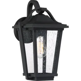 Quoizel  Darius Outdoor Lantern, Medium