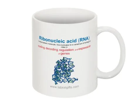 "Keep Calm and Study RNA" - Mug