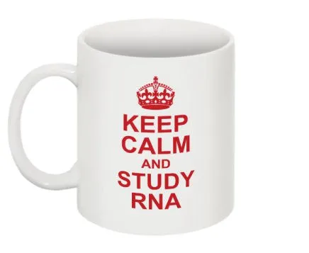 "Keep Calm and Study RNA" - Mug